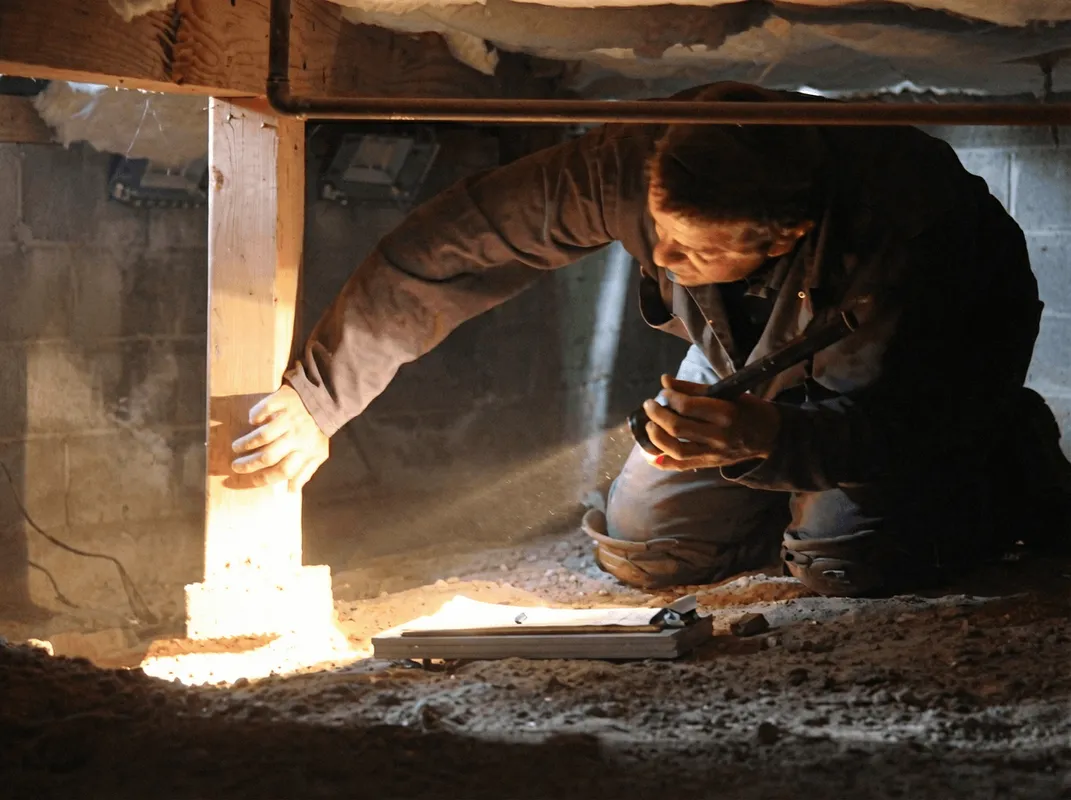 A professional inspecting wooden beams under the floor of a structure in Indianapolis, IN